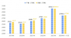 年报 2024年